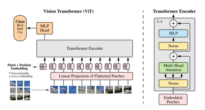 ViT架构