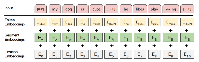 The input embeddings in Bert